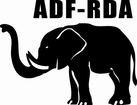 Nouvel an : le message de Gilbert Noël Ouédraogo, président de l’ADF/RDA