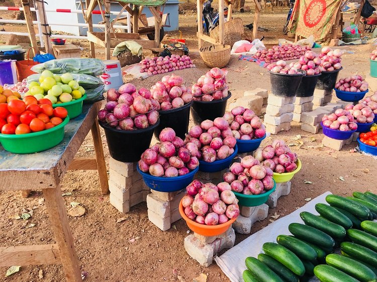 Production agricole de saison sèche : près de 1,5 million de tonnes de cultures maraichères attendues