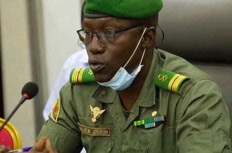 Mali : le Colonel Malick Diaw nommé président du Conseil national de transition