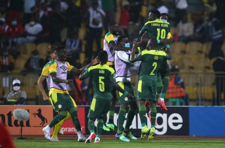CAN2021: Le Sénégal, prochain adversaire des étalons du Burkina
