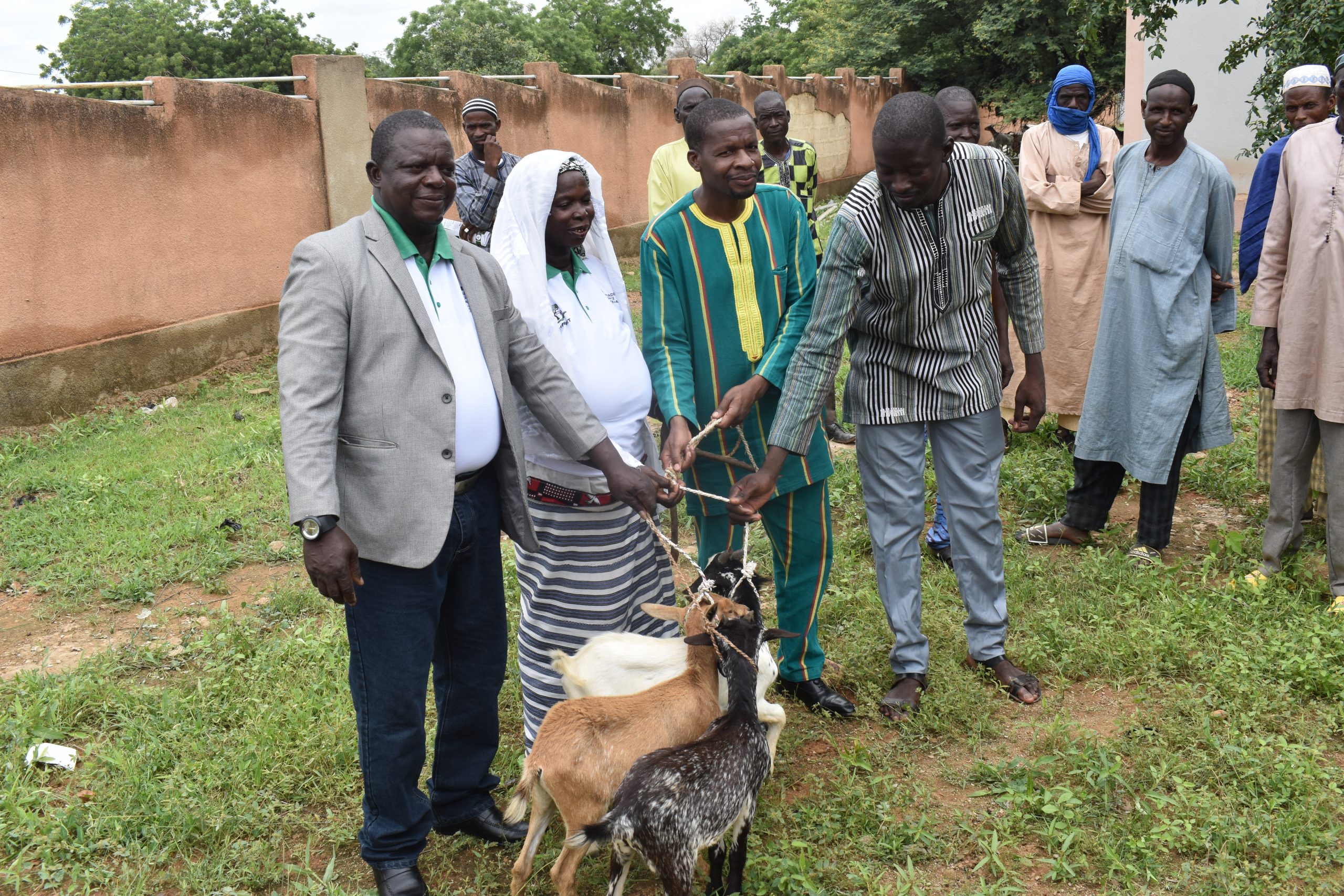 Fonds PISCCA 2022: L’élevage de petits ruminants et de volailles pour personnes déplacées internes