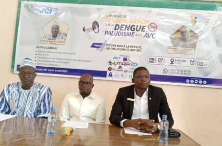 Santé/ Sensibilisation : La JCI Ouaga Golden combat la dengue, le paludisme et les AVC