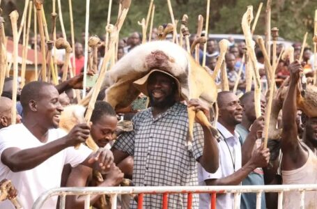 TOGO | Ouverture de la chasse traditionnelle en pays kabyè : Un hommage aux traditions￼