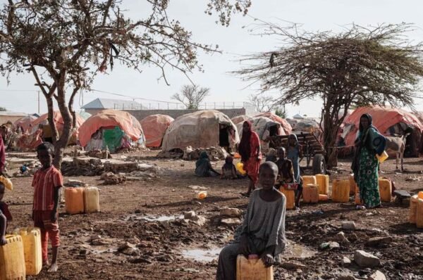 Crise alimentaire en Afrique de l’Ouest : plus de 52 millions de personnes sous la menace