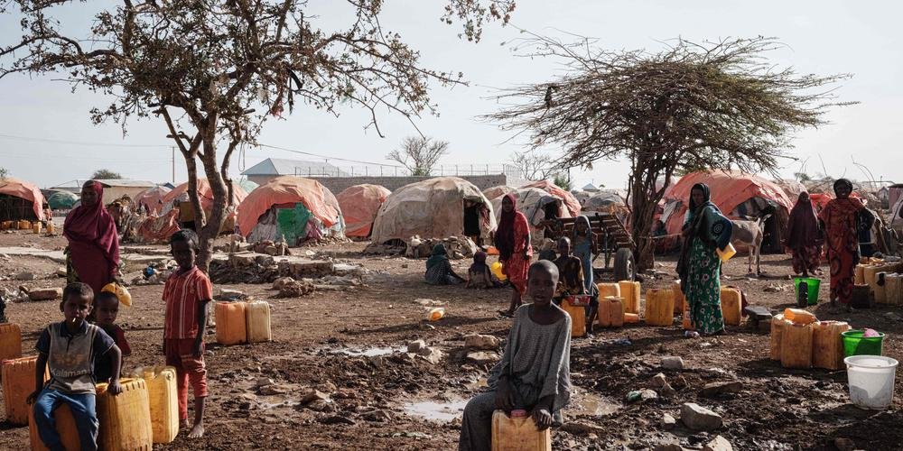 Crise alimentaire en Afrique de l’Ouest : plus de 52 millions de personnes sous la menace