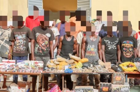 🟥Lutte contre la drogue à Ouagadougou : 13 kg de cannabis saisis