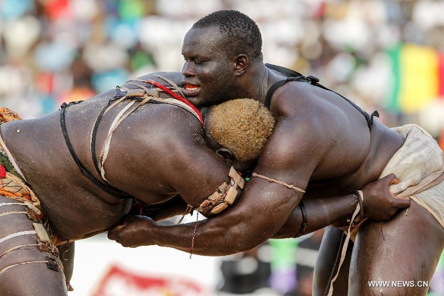 CHRONIQUE – La lutte sénégalaise : entre héritage culturel et phénomène de société