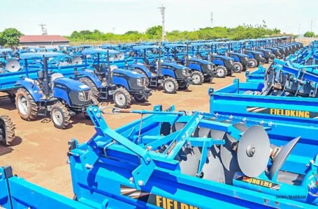 Agriculture et exploitation minière : la mine de Houndé injecte plus de 1,5 milliard FCFA pour soutenir 270 producteurs affectés